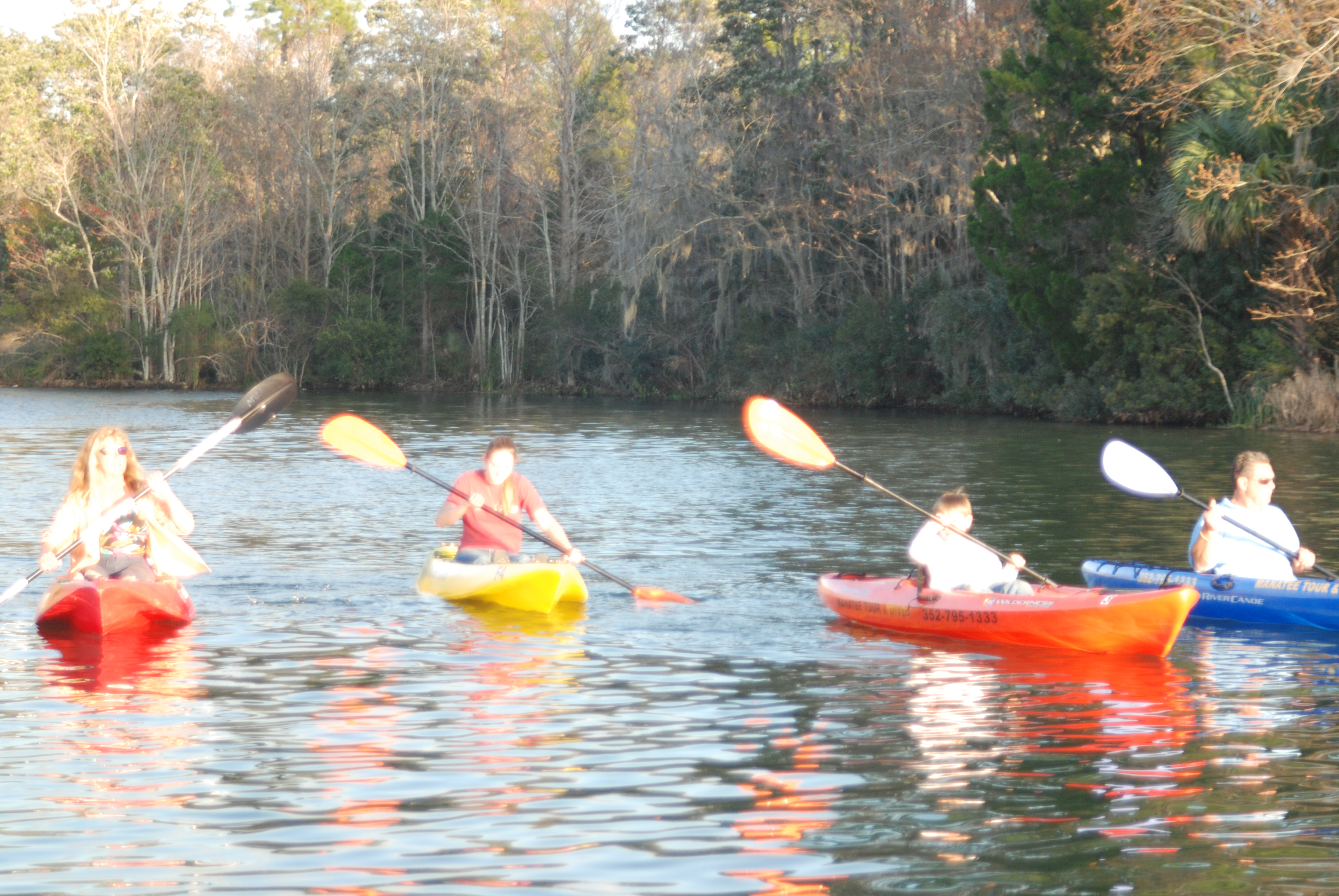 Kayaking Crystal River Kayak Rentals Kayaks for Rent 